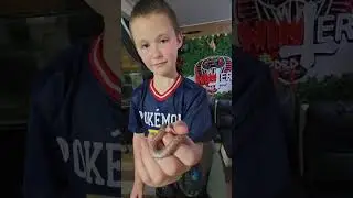 Winter blooded Kids talk about T+ hatchies