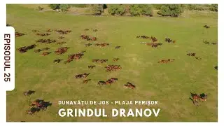 Episodul 25 - Dunavăţu de Jos, Plaja Perișor și grindul Dranov