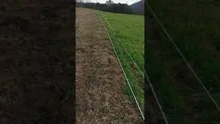 Differences between conventional pasture Vs rational grazing