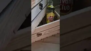 #stunz #holz #wood #havana #rum #woodworking #love #followformore #fypシ゚viral #ytshorts #fyp