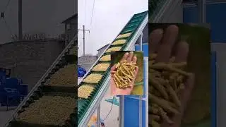 #installation #animal #particles #mixer #feed Jingying feed pellet making line straw & corn pellets