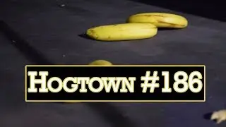 Hogtown Wrestling Showcase #186 - Six ft, Seven ft, Eight ft, DONG!