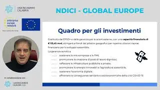 Pillola NDICI