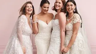 More Styles & Sizes for You! | David's Bridal