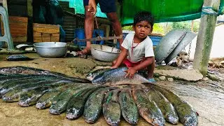 Amaging Snek Fish 14 Maral Fish| Desi Fish Trap Technique | Village Fishing Video
