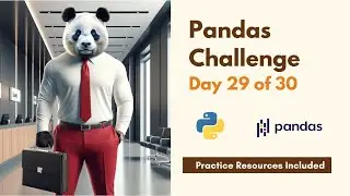 Pandas Library Challenge: Day 29 of 30