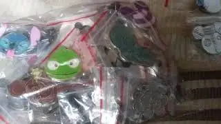 Buying 50 Disneyland trading pins on ebay