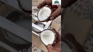 Temple Coconut Cutter +91 8220361505 #coconutcutter #coconutcuttingskills