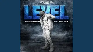 Level