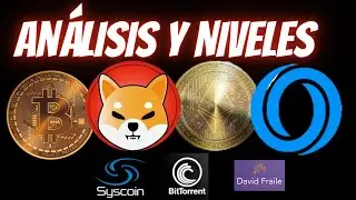 💥 Bitcoin, Ethereum, Criptomonedas y SHIBA INU 🚨