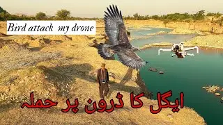 drone active track&nbsp; / drone attack by birds / dji mini4pro&nbsp; @Ustad Sahab ki Duniya