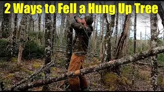 How to Cut Down a 