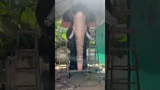 Shivasundar | Robotic elephant sculpture | Aanamaker