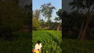 Asmaan Ka Pyar DJI Mini 3 || DJI Mini 3 Drone || Drone shorts #djimini3 #djidrone #shorts #dji