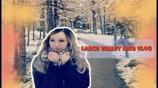 Most Beautiful Hike I've Ever Been On | Larch Valley VLOG