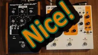 Moog MuRF with Squaver P1+