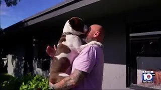 Rescue dogs boost sobriety at South Florida recover center