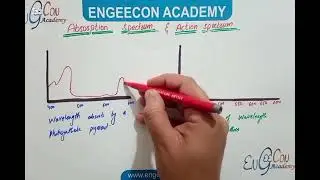 Lecture #04|| Action Spectrum and Absorption Spectrum|| Engeecon Academy Biology Lectures 