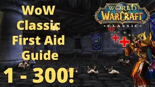 Classic Wow First Aid Guide 1 - 300 | Alliance | Roly The Holy Paladin | First Aid Classic Wow