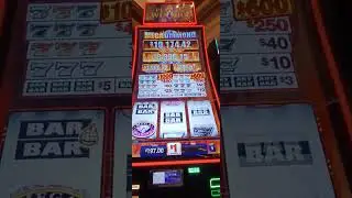 A good night at the casino