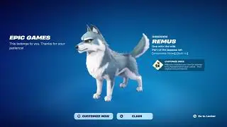 NEW REMUS SIDEKICK IN FORTNITE!!