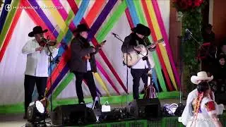Un rato de Huapangos Huastecos!