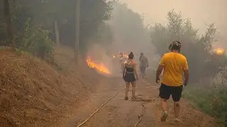 Mehr als 200 Hektar verbrannt: Bewohner wegen Waldbrand in Galicien evakuiert