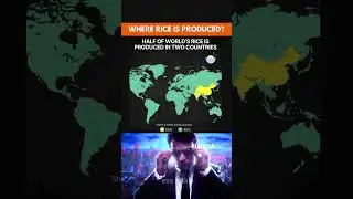 India & China vs World: Rice Production Share Percentage 🍚