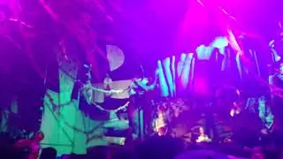 Green Velvet playing 