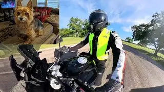 Motorcycle Therapy | Loss of a Close Companion