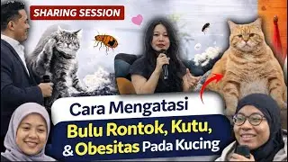 Tips Merawat Bulu Kucing Gak Rontok | Menghindari OBESITAS | Sharing Session | RESPONSIBLE LOVE