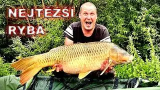 Carp Arts Cup rybářský závod #carp_arts #boilie #fishing