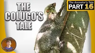 The Colugo's Tale