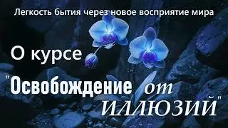О курсе 