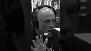Joe Rogan Reveals Nature&rsquo;s Most Unexpected Killer
