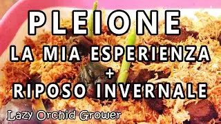 Pleione La Mia Esperienza + Riposo Invernale