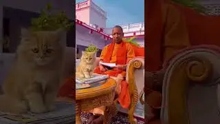 yogi aditiya nath🚓#cat🐱videos #sweetlove❤😍