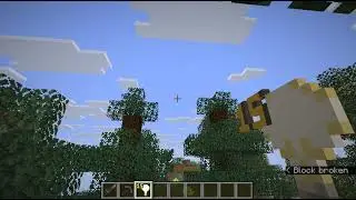Minecraft voyages:  windswept forest to windswept gravel hills