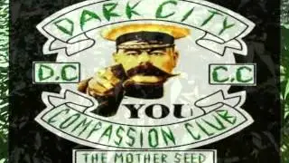Cannabis Oil Cancer Kills.... The cult of C.O.C.K