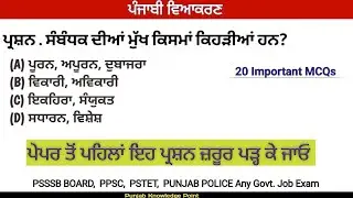 ਪੰਜਾਬੀ ਵਿਆਕਰਣ/ ਭਾਗ-2 / Important MCQs 