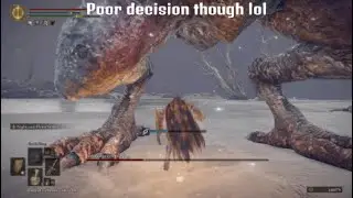 Elden Ring  - Borealis, the Freezing Fog, optional Boss Fight