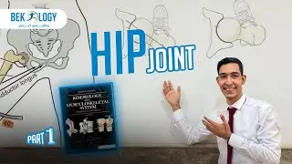 Biomechanics | Hip joint