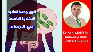 اقوي وصفة لتنشيط البكتريا النافعة في الامعاء لقتل اي فيروسات داخل الجسم