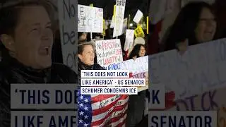 'This does not look like America' - US Senator Schumer condemns ICE