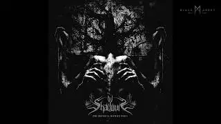 Ov Shadows - The Darkness Between Stars (Full Album Premiere)