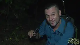 West African Reed Frog: Zilla Beyond the Glass -- Season 2, Episode 11