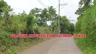 RESIDENTIAL FARMLOT FOR SALE ( Brgy. Sulsugin Alfonso Cavite) Along Brgy.Road Free transfer of title
