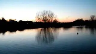 Birtay and the geese