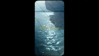 Ineino - Albahaca (Video Vertical)