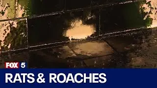 Rats, roaches, raw sewage: Tour old Atlanta police academy | FOX 5 News